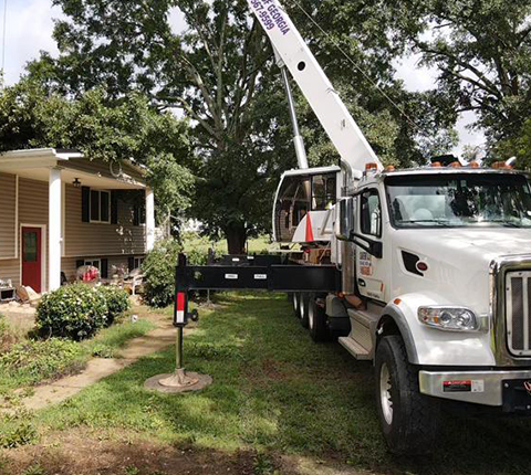 Gonzalez Tree Experts Image